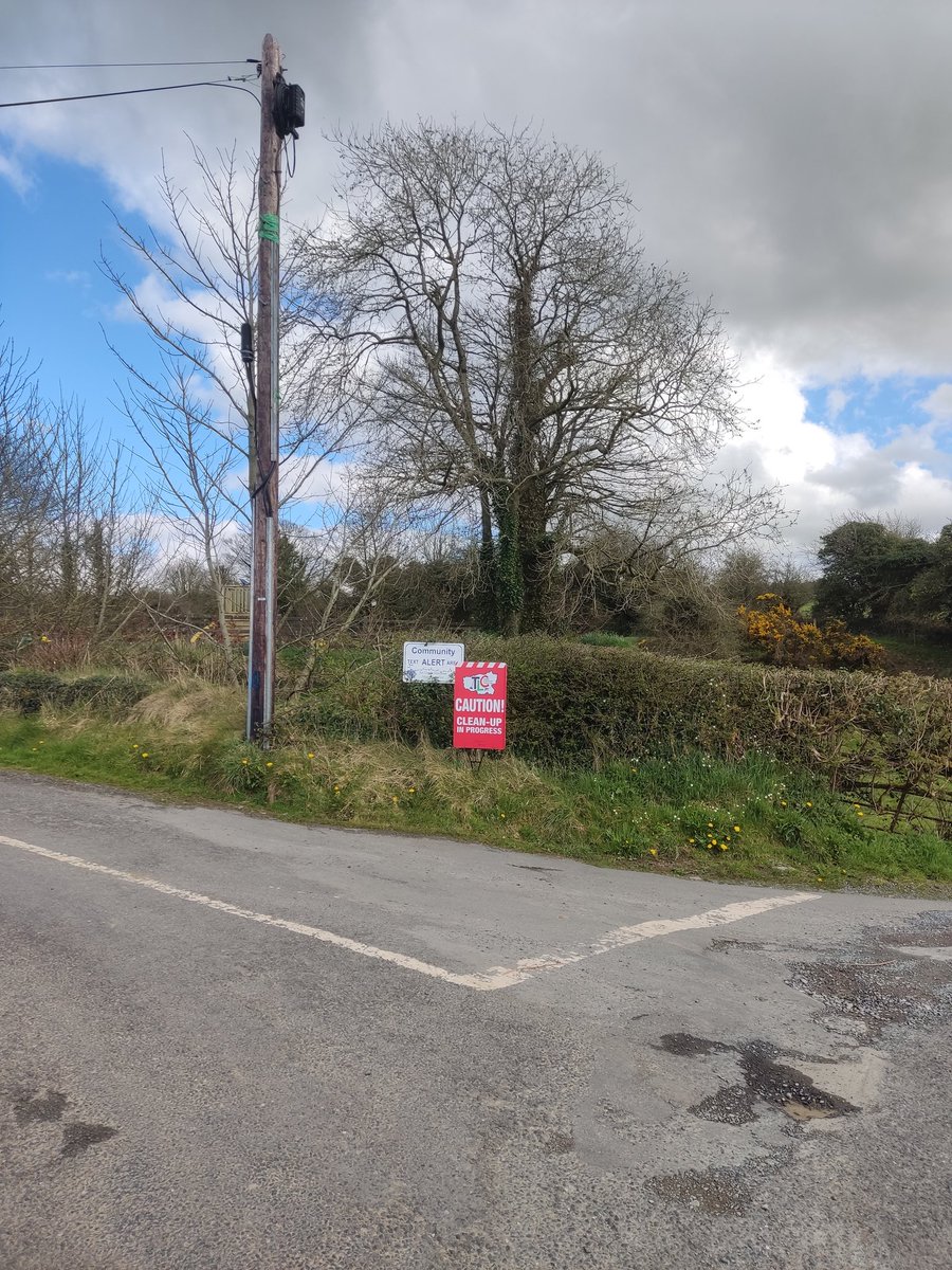 Stephen Fox tweet media