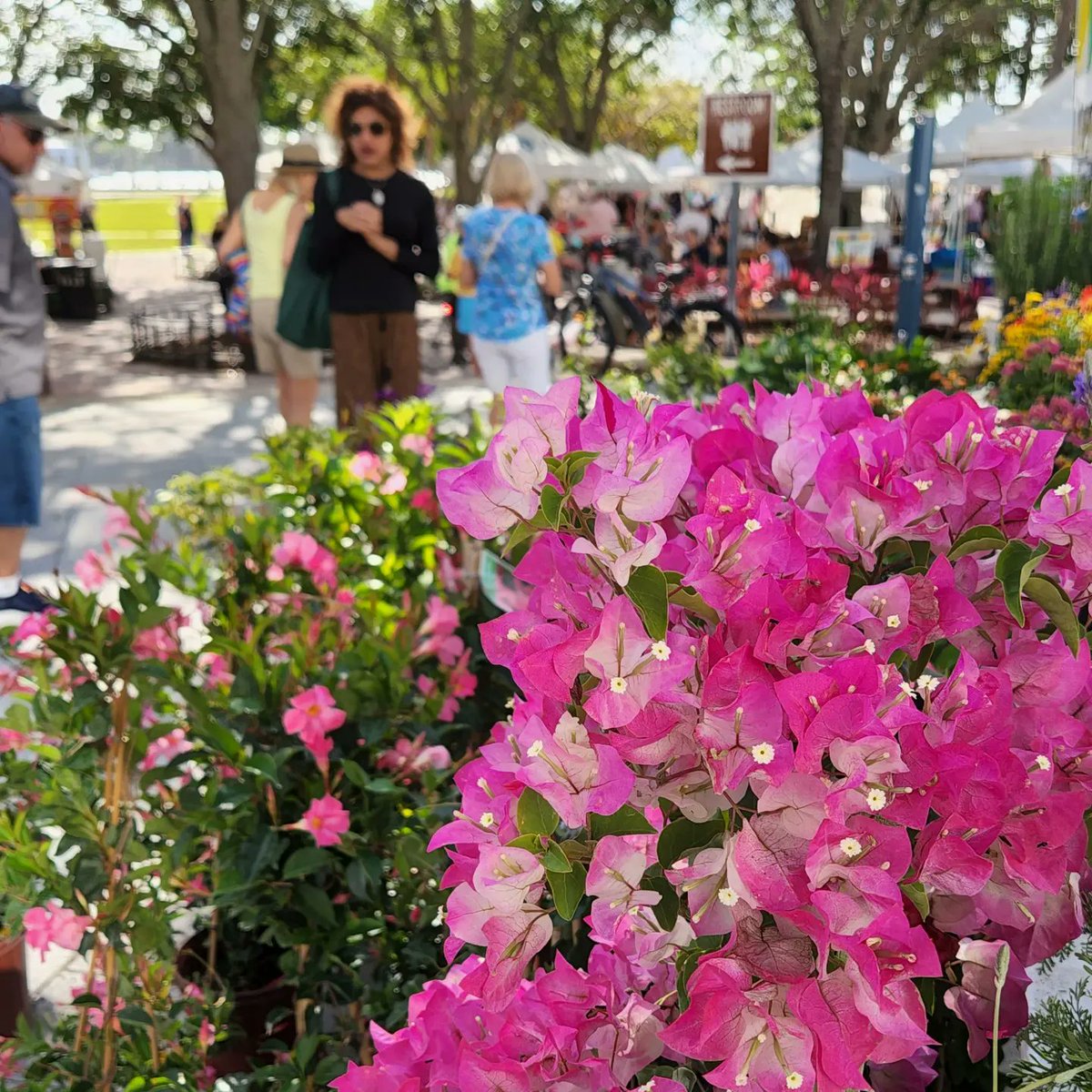 wpbmagazine's tweet photo. Excellent day to enjoy the #WPBGreenMarket last day of the season π #wpbnow https://t.co/GjMPS7uMtU
