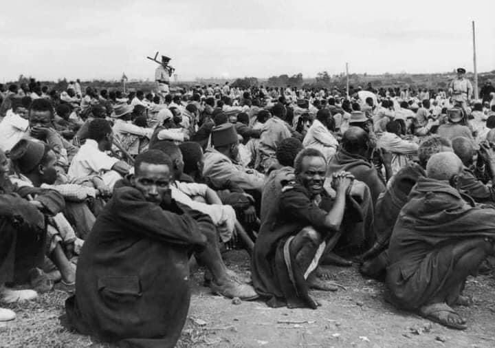 FedixM's tweet photo. We have been a subject of humiliation for over 400 hundred years. Time to wake up Afrika.#WakeUpAfrica https://t.co/hPVx4ewan9