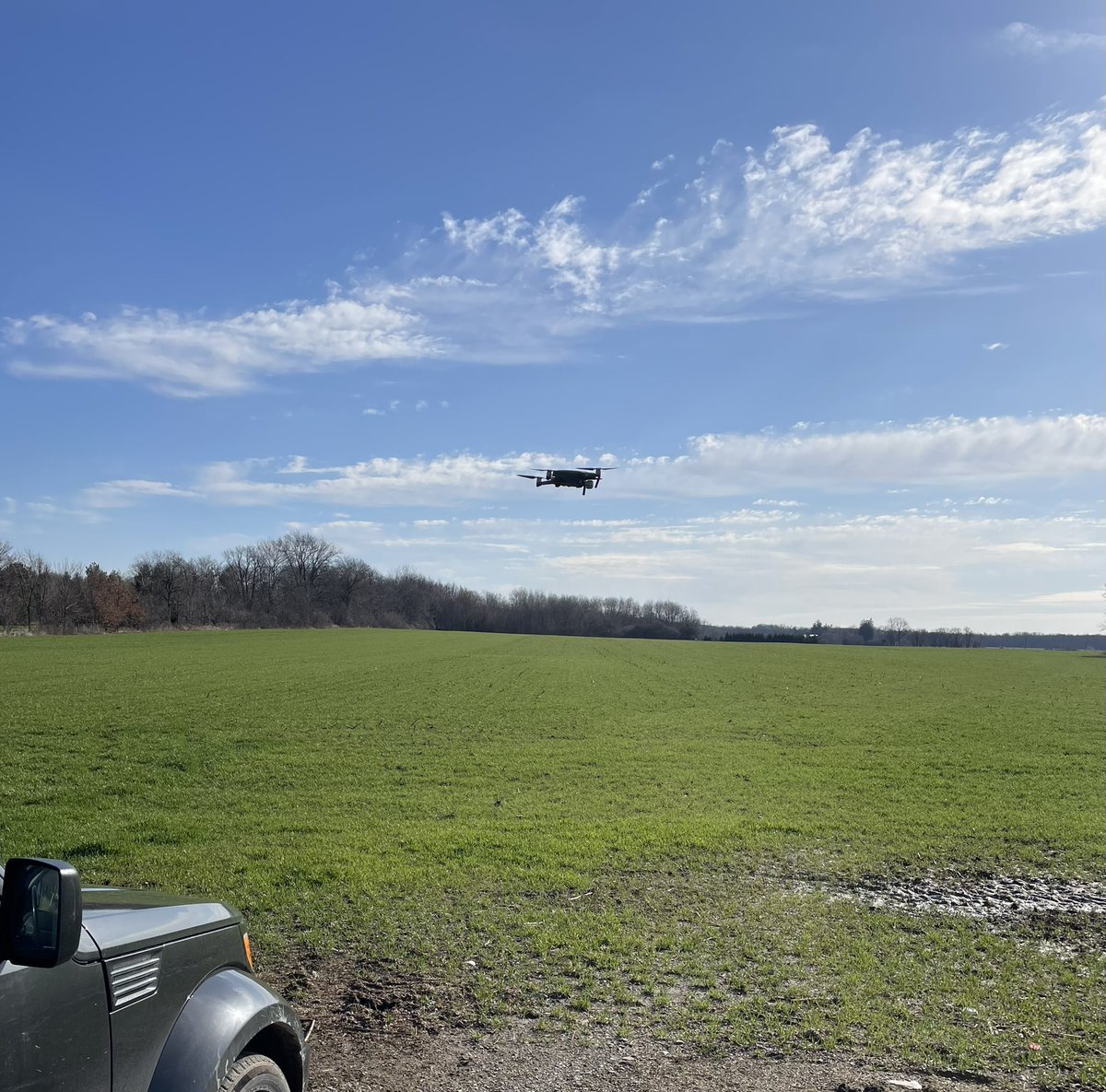 Scouting some wheat this beautiful morning for <a href="/NassauLeeFarms/">Stefan Pelkmans</a> #doddeycreekagri