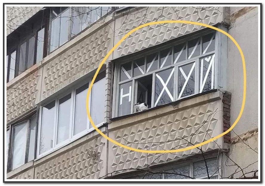 Харьков, обожаю тебя!
