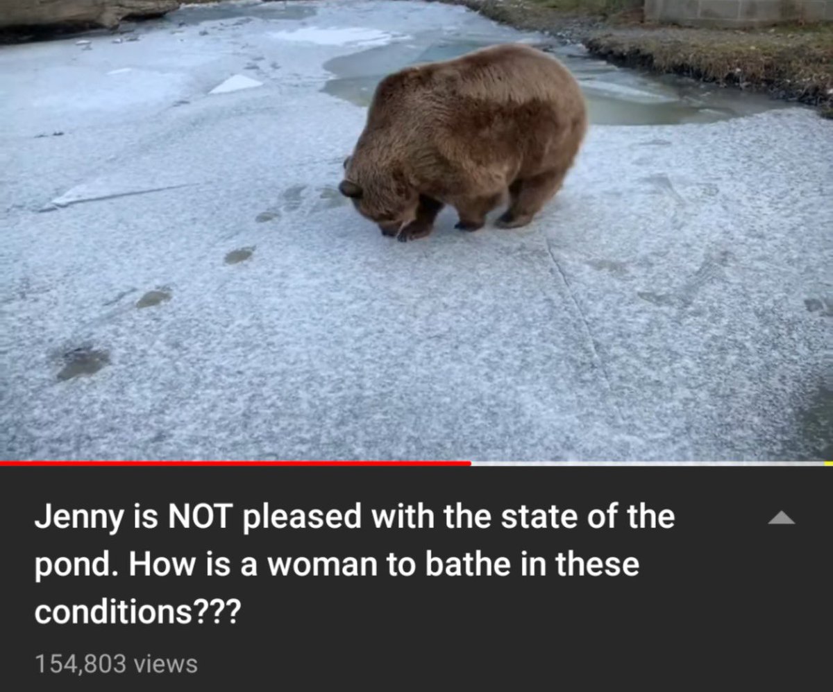 🐻 Bear 🌼 (@bearposting) on Twitter photo 