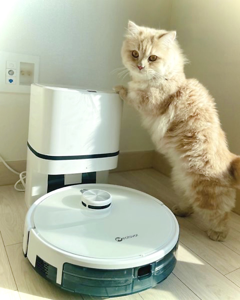 Neatsvor_Robot's tweet photo. Neatsvorロボット掃除機、子猫と飼い主に一般的な選択肢😄
#Neatsvor #neatsvorx600pro #猫 #ペット #掃除機 https://t.co/Yg08haP8h5