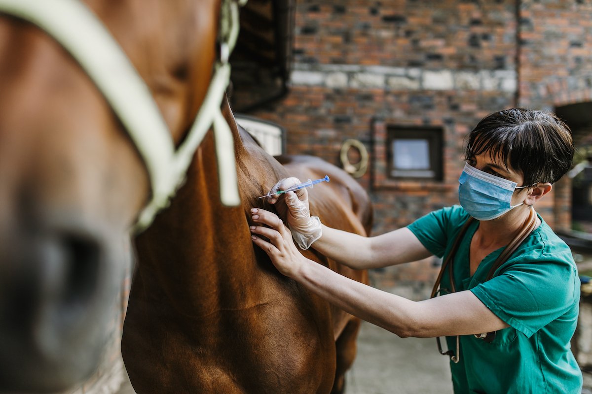 WOAH's tweet photo. 💉 They fight deadly diseases.
💉 They protect animal and human health.
💉 They save lives.

#Vaccines work to protect global 🌏 health, so don't hesitate, vaccinate!

#VaccinesWork https://t.co/0oYLaXtX9K