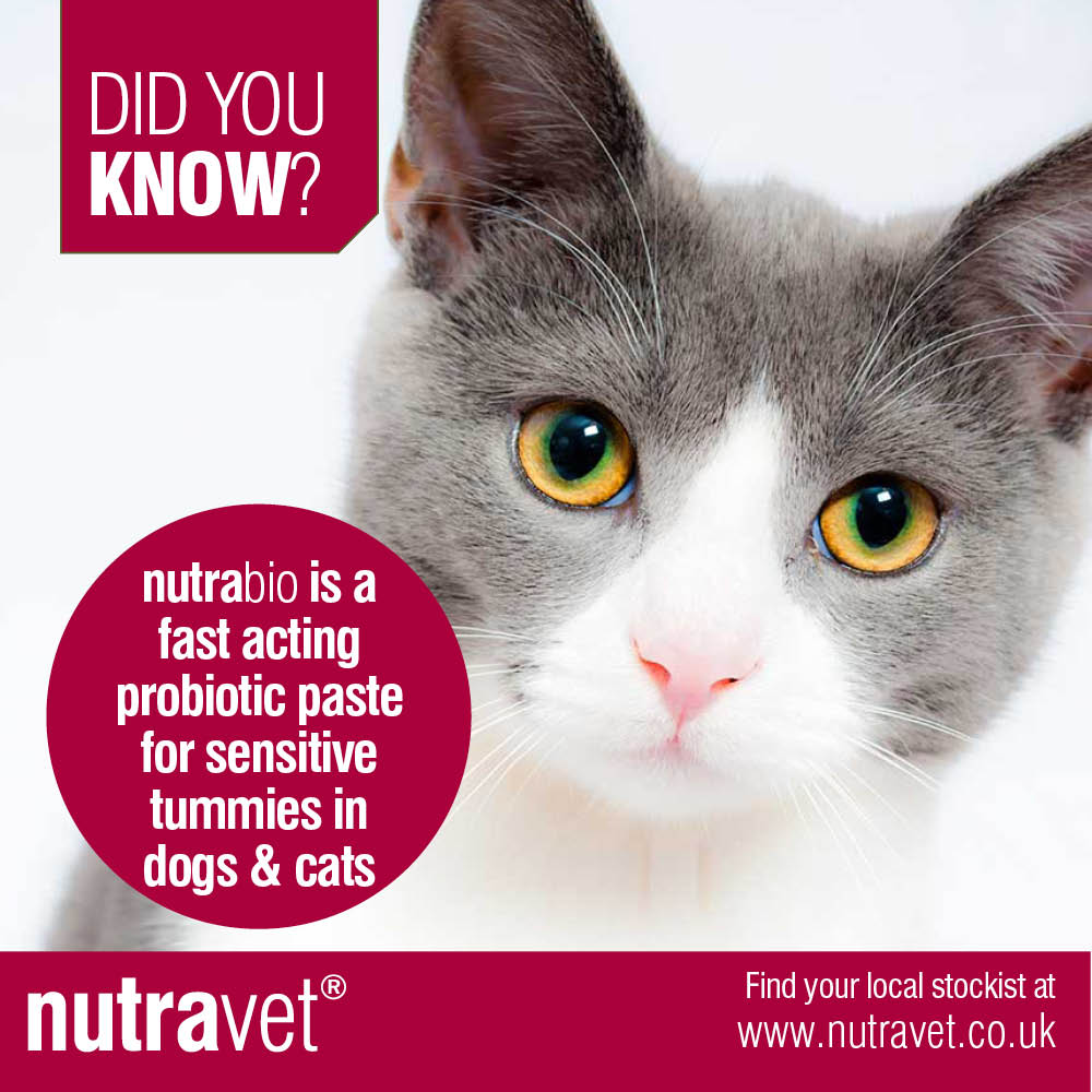 nutravet's tweet photo. Did you know?

nutrabio has been developed with a high strength composition of Probiotic bacteria, Prebiotics, Sweet Basil and Kaolin which combine to help normalise digestive function.

Find out more at https://t.co/LMBrtoo9Ve

#PetDigestiveHealth #nutrabio #naturalpetcare https://t.co/zW8Q9BhGN0