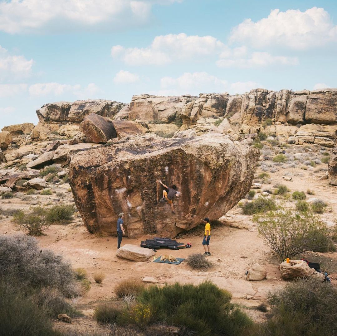 EVERY MAN JACK tweet media