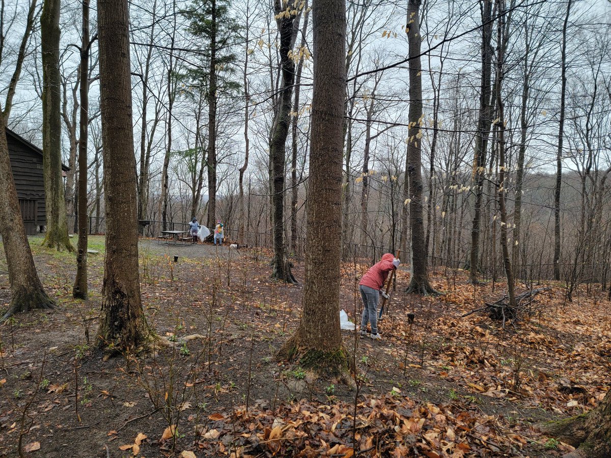 Learning the value of hard work through community service. Raining. Check. 43 degrees. Check. Dedicated ATOMS. Check. Raking leaves at Green Lakes State Park. #SASAtoms <a href="/SyracuseAcademy/">Syracuse Academy of Science</a>