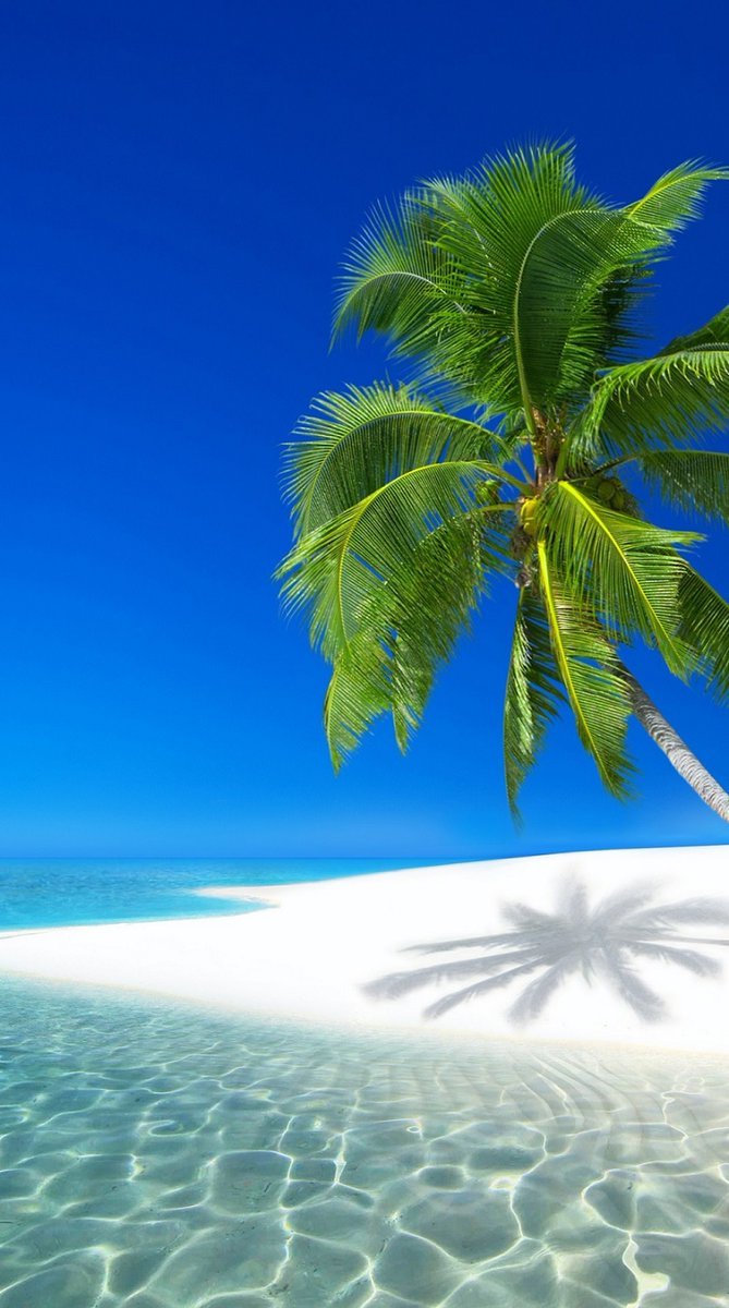 My sense of direction leads me one way🌞 the Beach 🏖️