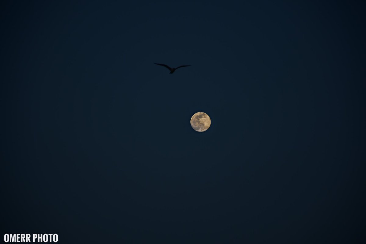 omer7chef's tweet photo. Dün akşam moda sahilden güzel bir an.. 

#moon #nightphoto #fullmoon #omerrphoto https://t.co/dPcCh2jxXW