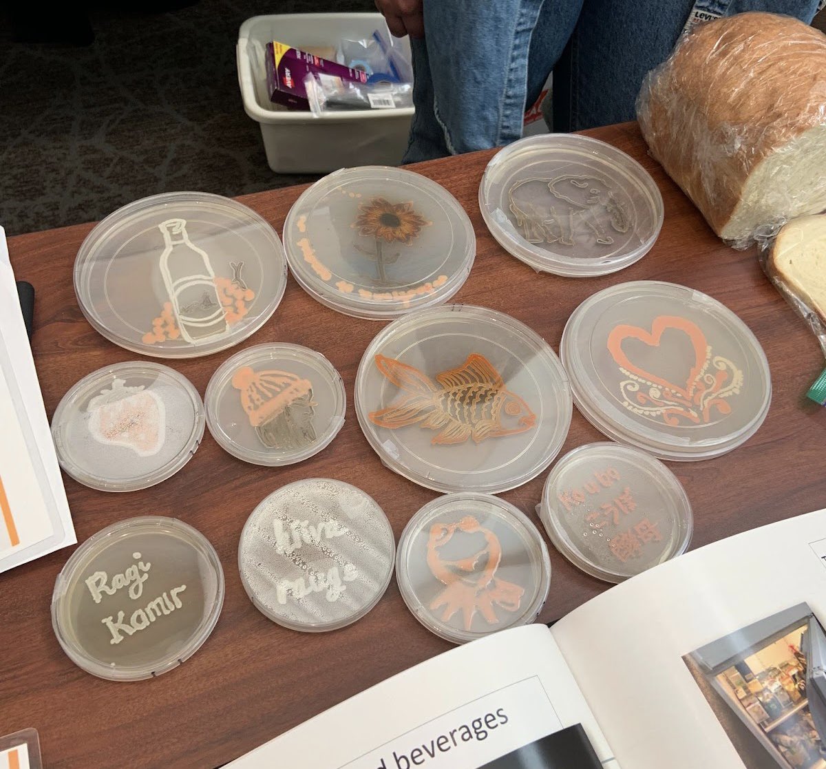 BioDivDay's tweet image. Did you know you could make art with yeast? So cool! These Petri dishes were on display at the Phaff Yeast Culture Collection’s booth at this year’s UC Davis Biodiversity Museum Day.

#UCDavis #BiodiversityMuseumDay