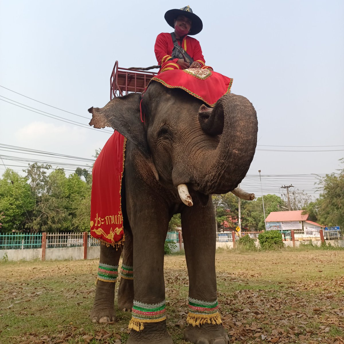 มนต์พลายประกายแก้ว tweet media
