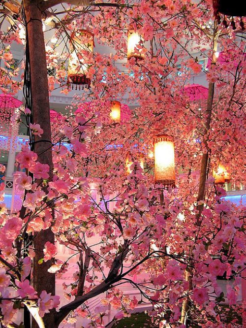 RashadaWrites's tweet photo. #Spring flowers and light decoration #photograph🌺🌸 https://t.co/ofedMx2Yus