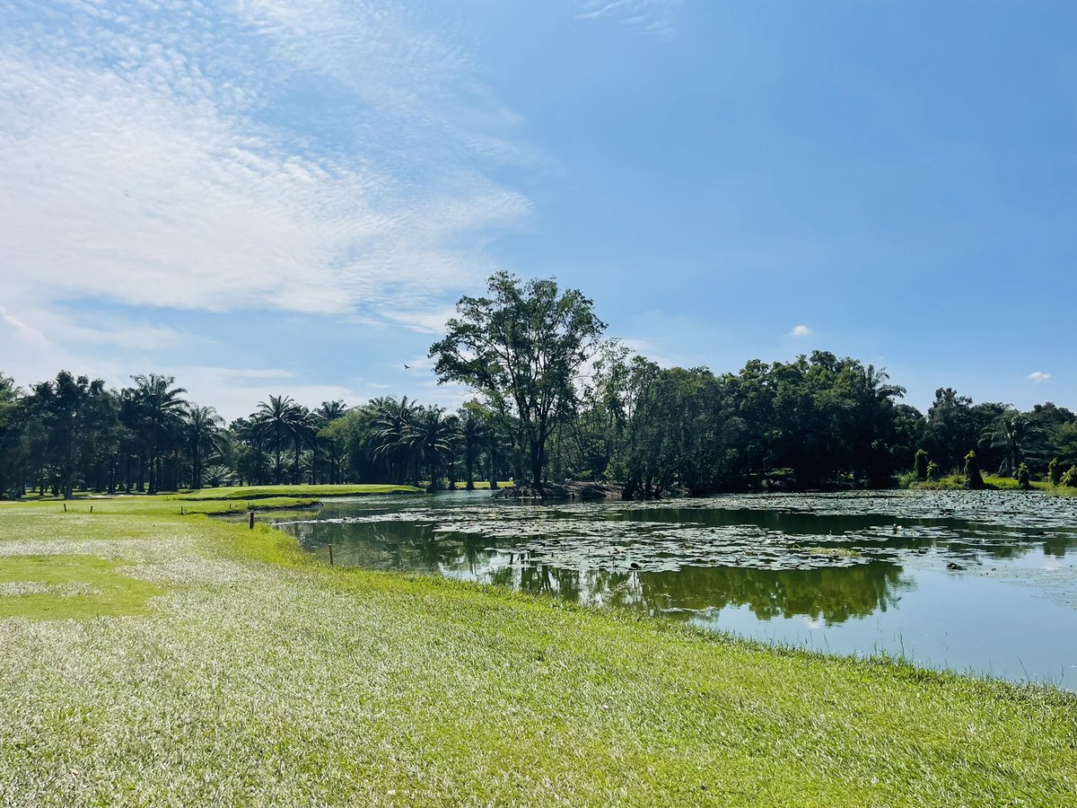 SophieChavanel's tweet photo. De retour au @golfkinshasa.🏌️♀️
Un espace de paix au sein de la capitale congolaise.🇨🇩
#ExploreCongo #BeautifulAfrica https://t.co/6kVazLySi0
