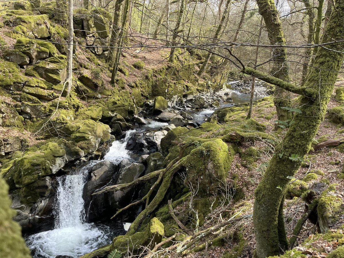 CRT17M's tweet photo. Lovely to get the kids out today #torrentwalk #livinginwales https://t.co/UAyUI5W4HN