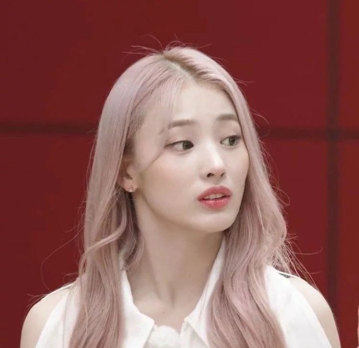 seungjunation's tweet photo. "harta yang paling berharga adalah pacar durhaka"

#pinkyfox https://t.co/Gk8bG2cZCd