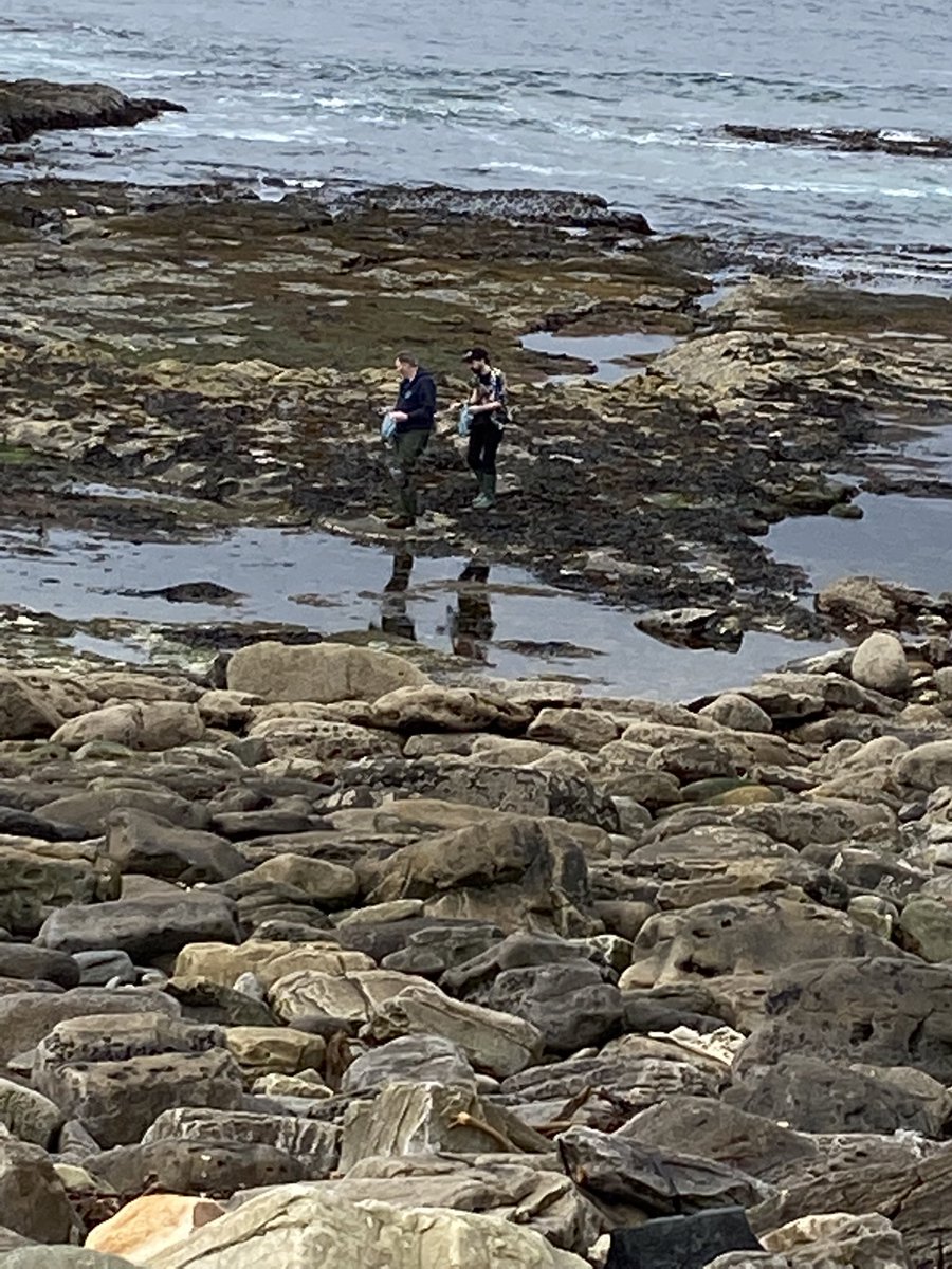 JamesSliabhLiag's tweet photo. Glorious day foraging #pepperdulse so @moikayd can capture the #magicofthesea in @AnDulamanGin - Dec and Mum came with us so today was foraged under #parentalsupervision Even joined by @DaraghsDrinks so he could get some Nori, Sea Lettuce, Dulse and Carrageen #Donegal https://t.co/ZzKF0kTpnA