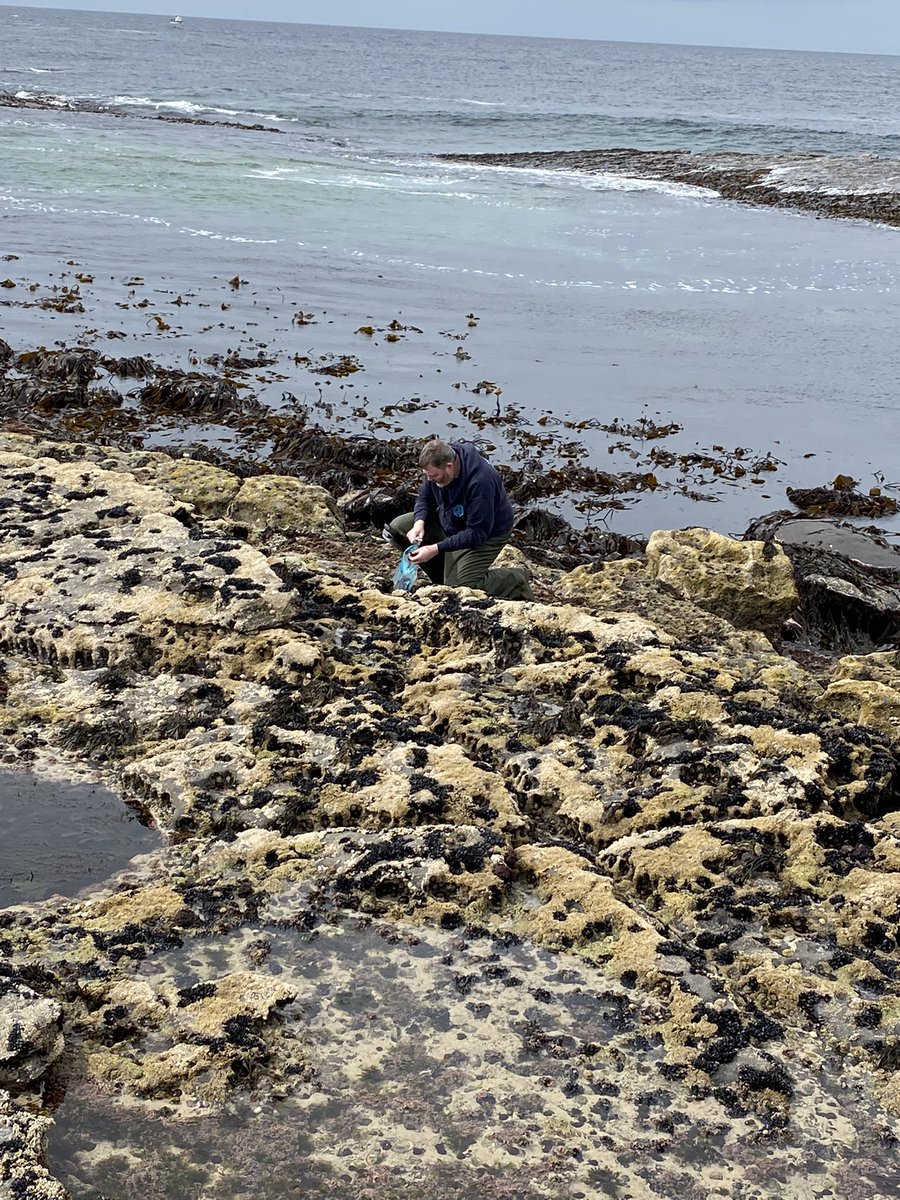JamesSliabhLiag's tweet photo. Glorious day foraging #pepperdulse so @moikayd can capture the #magicofthesea in @AnDulamanGin - Dec and Mum came with us so today was foraged under #parentalsupervision Even joined by @DaraghsDrinks so he could get some Nori, Sea Lettuce, Dulse and Carrageen #Donegal https://t.co/ZzKF0kTpnA