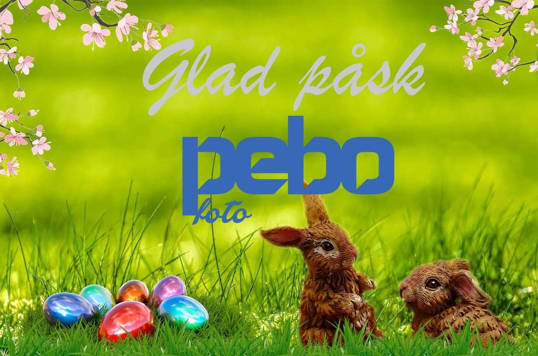 PEBO-Foto tweet media