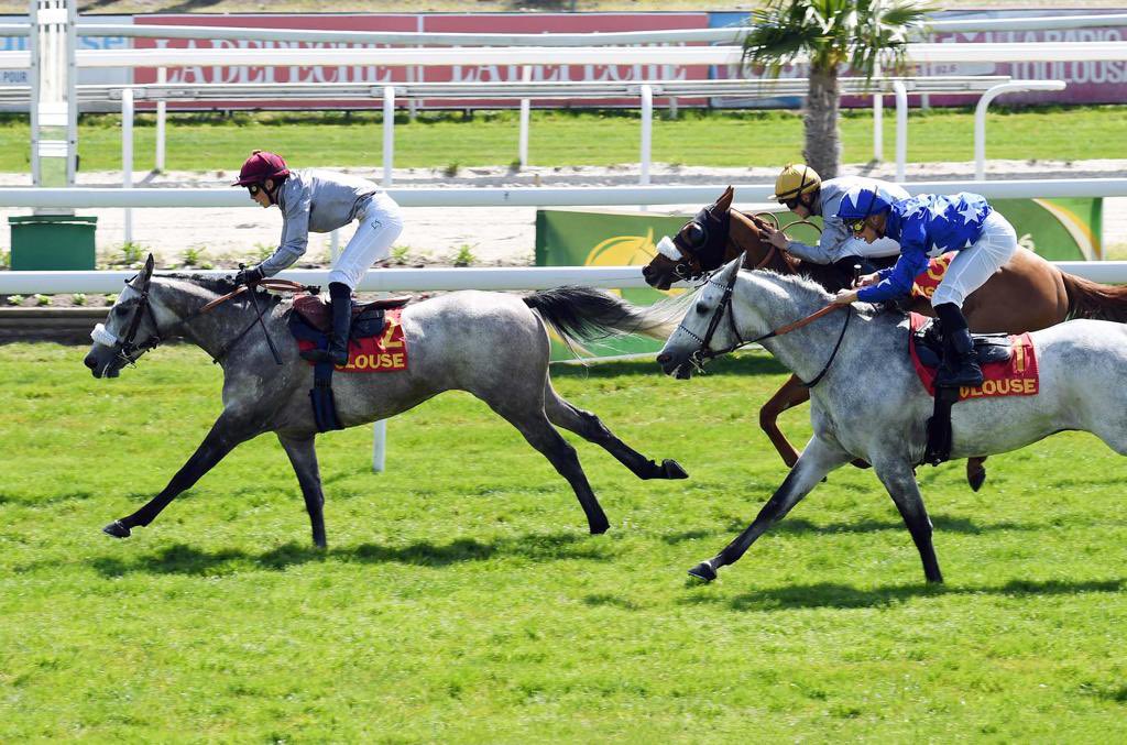 نادي قطر للسباق والفروسية (@q_rec) on Twitter photo <a href="/AlShaqabRacing/">Al Shaqab Racing</a> homebred HAZZAM (FR) (Al Mamun Monlau) wins Prix Kriss II-Wathba Stallions Cup at Toulouse. Laurie Foulard steered the <a href="/tfourcy/">Fourcy Thomas</a> trained 5YO to come fast & pip the opposition in the closing stages of the mile for Purebred Arabians.
<a href="/AlShaqabArabian/">Al Shaqab Arabians</a>
📸 Robert Polin <a href="/AlShaqabRacing/">Al Shaqab Racing</a> homebred HAZZAM (FR) (Al Mamun Monlau) wins Prix Kriss II-Wathba Stallions Cup at Toulouse. Laurie Foulard steered the <a href="/tfourcy/">Fourcy Thomas</a> trained 5YO to come fast & pip the opposition in the closing stages of the mile for Purebred Arabians.
<a href="/AlShaqabArabian/">Al Shaqab Arabians</a>
📸 Robert Polin
