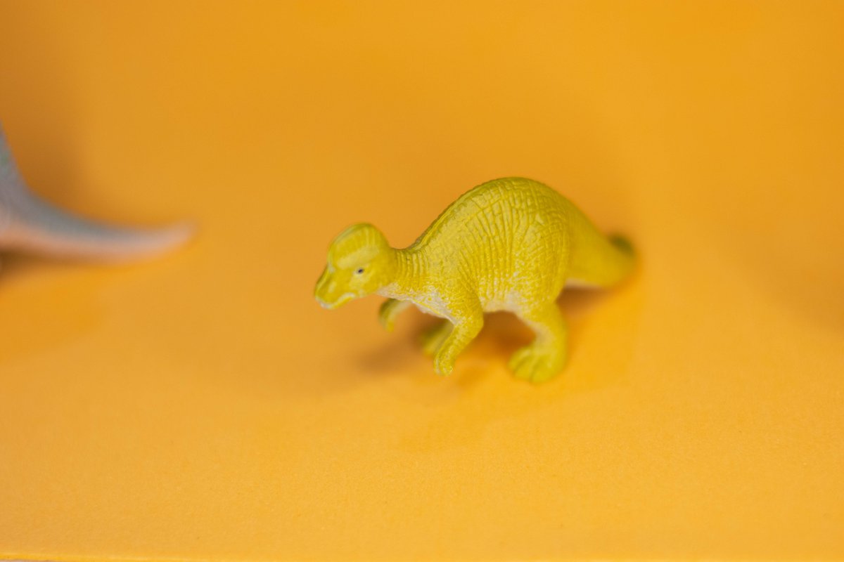 DinosaursEarth's tweet photo. Check out my NFT listing on OpenSea! https://t.co/5cgAlJCsXZ via @opensea  #NFT #nftcollectors #NFTCommunity https://t.co/PcWGo03W3q