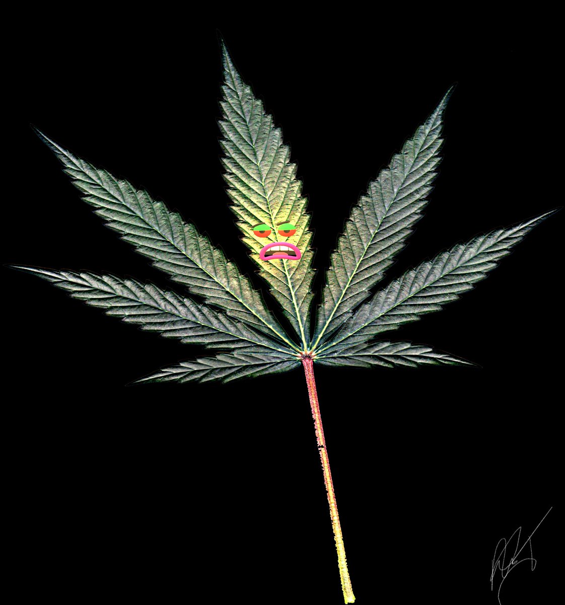 Dic_Inu's tweet photo. NEW #APRIL420GIVEAWAY #Stellar #Litemint SERIES
π₯³π₯³π₯³π₯³
πͺ΄πͺ΄πͺ΄π
- "THE DEVIL'S LETTUCE" -
#Litemint #Dic_Inu #Weed #NFT
1.) LIKE
2.) Follow
3.) Comment / Tagging 3 #Dic_Dogs
Winner Will Be Posted 4/20/2022 -@ YouTube/DicInu
@LitemintHQ #XLM #LSP
https://t.co/XqILFZ9Igk https://t.co/Q1tFUX172y