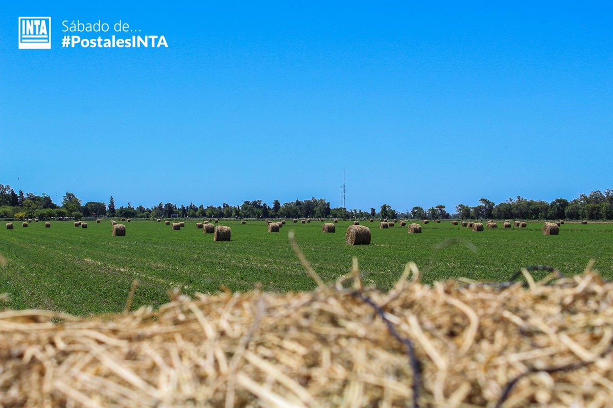 Sábado de... #PostalesINTA 📸