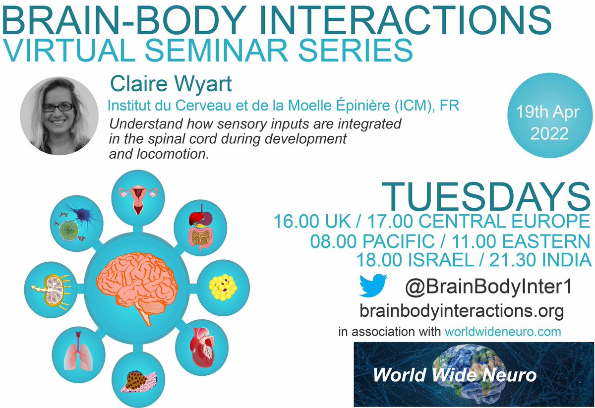 Next Tuesday it's all about Spinal - Sensory - Signaling when <a href="/ClaireWyart/">Claire Wyart</a> will talk about how sensory inputs are integrated in the spinal cord during development and locomotion! 🧠

▶️ Register: crowdcast.io/e/brainbody-wy…