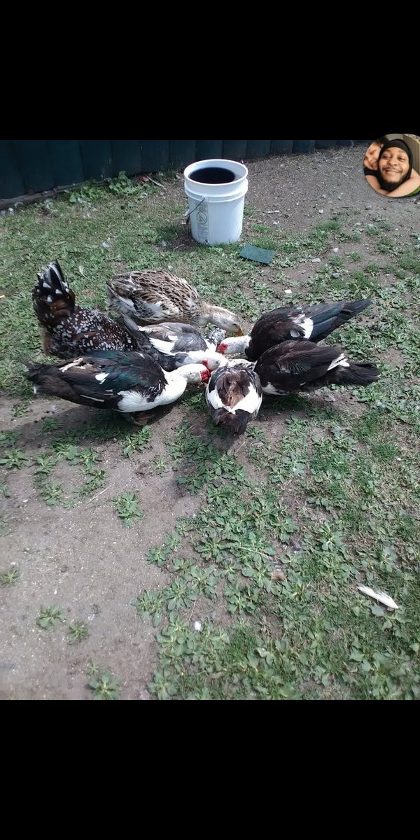 ShamanOfYah's tweet image. I been ready! Just waiting for some doors to open up, then to Arkansas I go! This was me in #Maine a couple years ago! #OffGridReady!