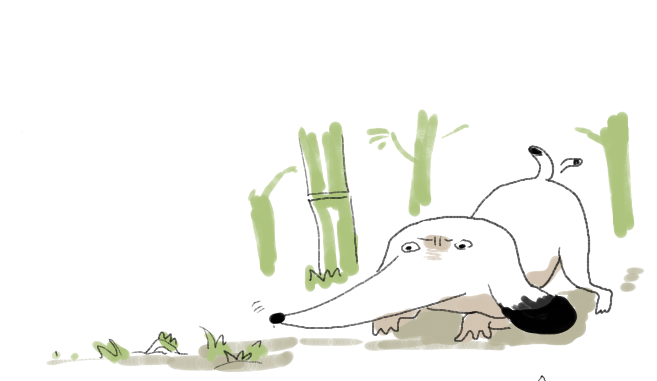 ganc's tweet photo. @inusyuei TAKENOKO　HUNTER https://t.co/kjOAWvItjD
