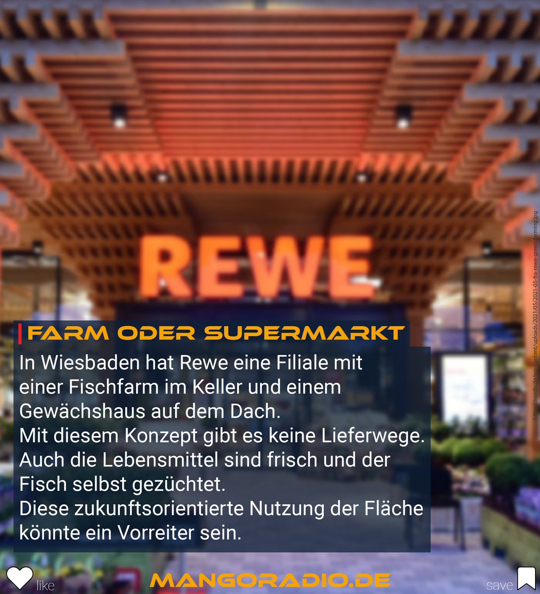 Wir zeigen euch 3 interessante Projekte, die der Umwelt helfen. Welche Projekte waren euch bekannt? Oder kennt ihr noch andere Vorhaben oder Projekte?
•
Klick dich ins Netz unter mangoradio.de/grw!
•
#klima #klimawandel #umwelt #greenradioweek