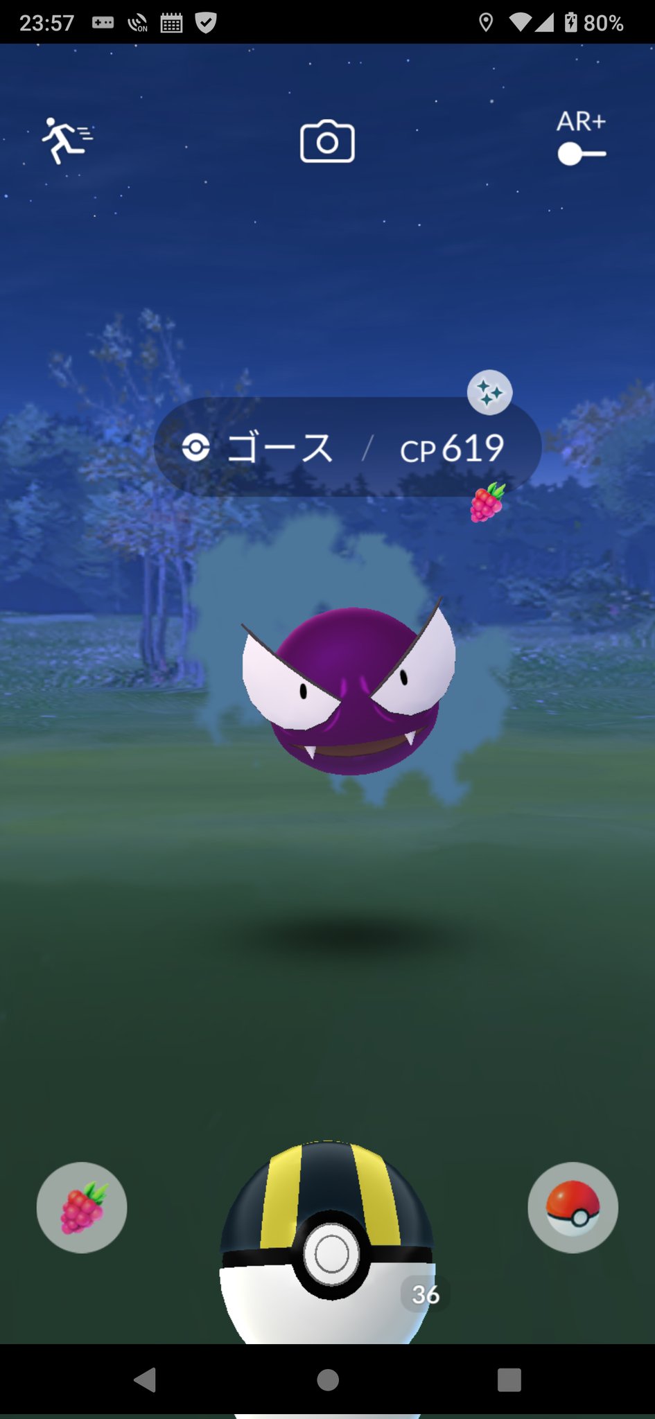 もぷりん 今 何気なくポケモンgo立ち上げたら ゴースが居て確か前に捕獲して図鑑は登録済なんだよな って個体確認したらまさかの色違い ポケモンgoでの初色違いは ゴースでした T Co Iaywnbyhr4 Twitter