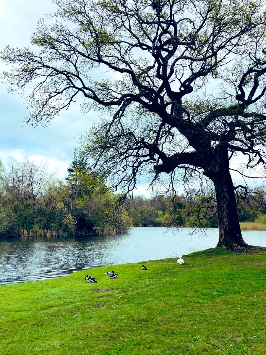 Marie_27's tweet photo. Stroll at Emo court this morning #emocourt #laois #SaturdayMorning https://t.co/ti5muHRRH0
