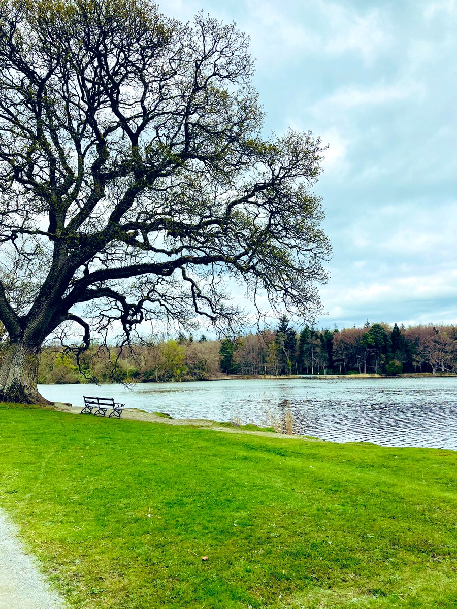 Marie_27's tweet photo. Stroll at Emo court this morning #emocourt #laois #SaturdayMorning https://t.co/ti5muHRRH0