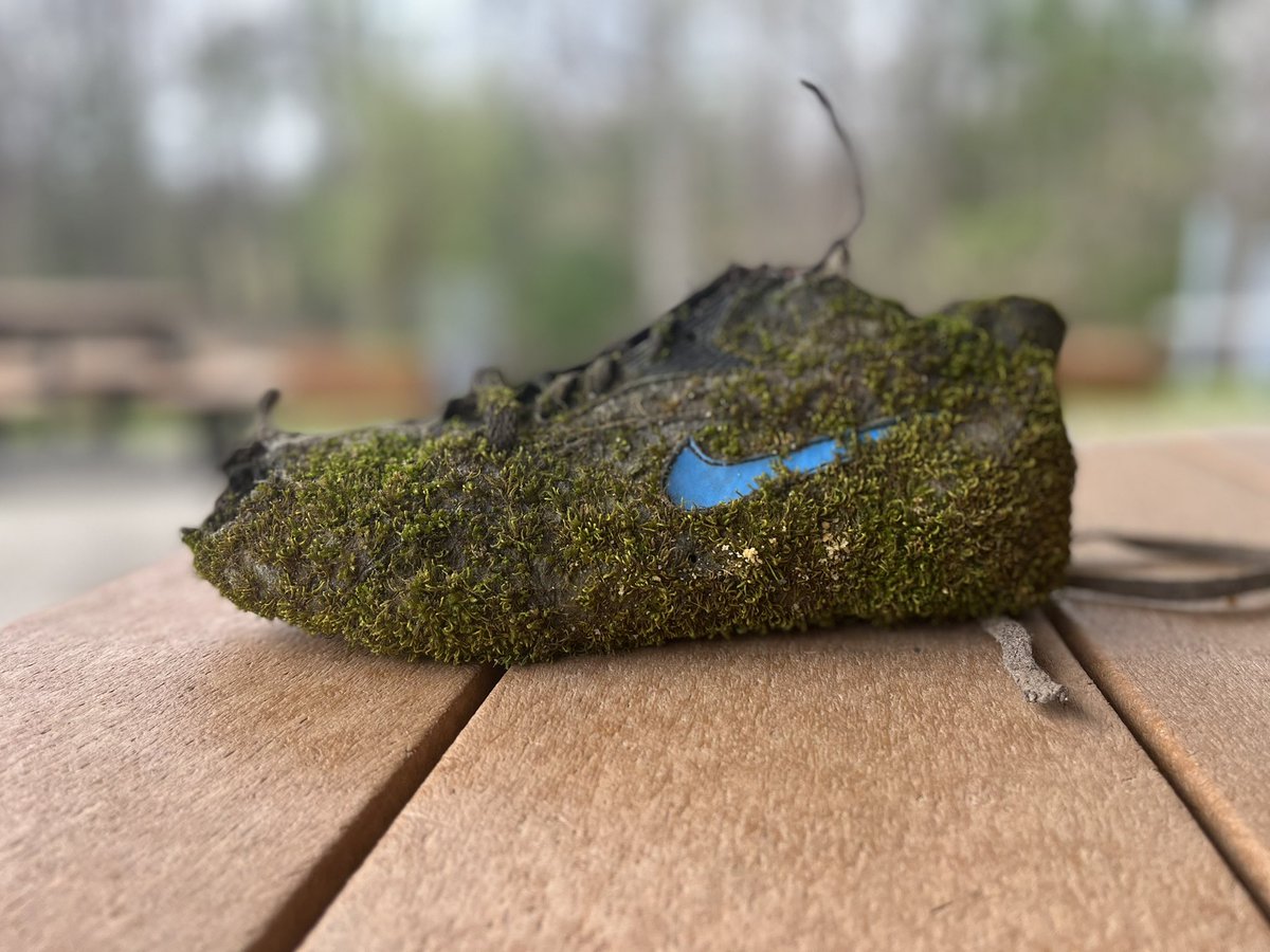 SASweb's tweet image. PUSH PAUSE. @nikestore #sneakerheads