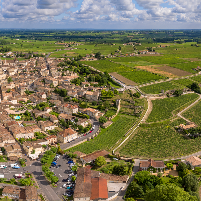 Underground Cellar tweet media