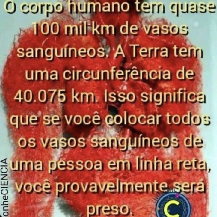 Shitpost só que de verdade (@shitpostverdade) on Twitter photo 