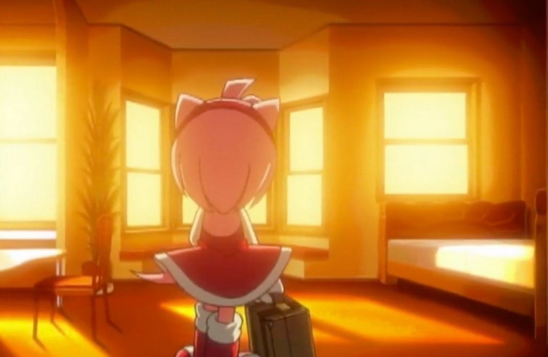 Amy Rose is canonically 12 years old. Also canonically, she: - Has