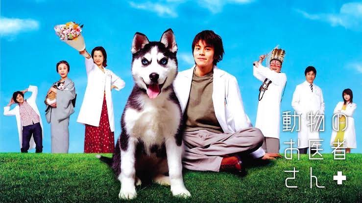 動物のお医者さんDVD全5巻　吉沢悠、和久井映見 Amazon.co.jp: 動物のお医者さん DVD-BOX : 吉沢悠, 和久井映見, 江守
