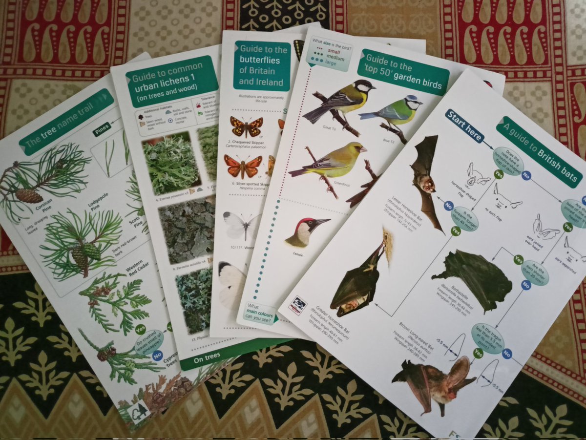 konwar13abhijit's tweet photo. Received these wonderful booklets today as gift from #SFARConf jointly organised by @BritishEcolSoc & @LinneanSociety in March 2022.
Thank you very much for the gift π https://t.co/qmVQXFqIuI