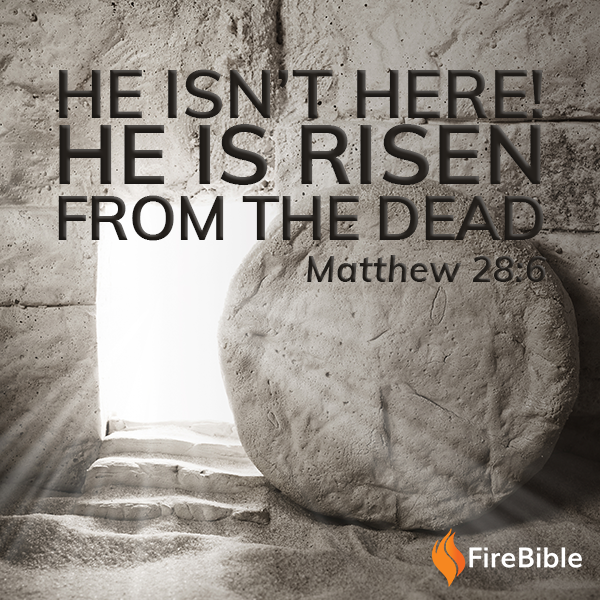 firebibles's tweet photo. HE HAS RISEN. The resurrection of Jesus is one of the central truths of the gospel–the “good news” of forgiveness and eternal life through Christ. It makes Christ’s presence and power over sin available in our everyday lives.
#happyeaster #holyweek2022 #heisrisen #firebible https://t.co/0jU0lDYJSu