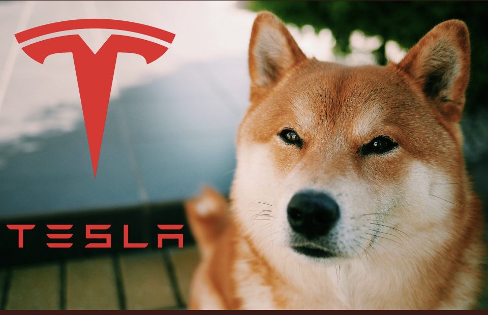matt_hack78's tweet photo. #Dogecoin to $2 in 2022!!!  #doge #AcceptDoge https://t.co/EV7DypSTf2