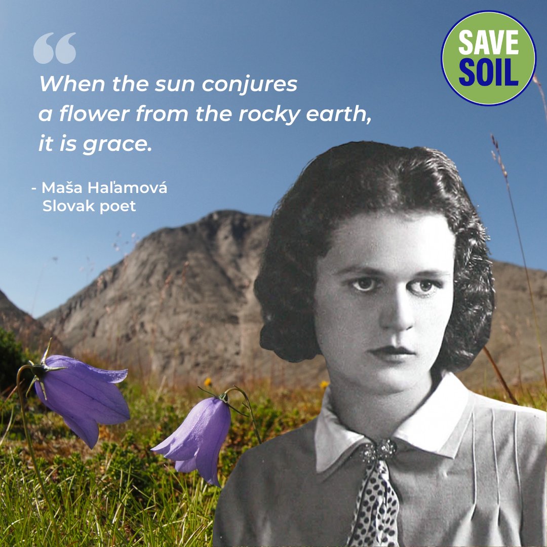 cpsavesoil's tweet photo. Slovak poets Maša Haľamová captures the magic of agriculture in her own unique style. But without healthy soil, this magic will not last long. It is time to voice our concern and commitment and appeal for policy change to #SaveSoil
Action now: https://t.co/z6MmqLXuw6 https://t.co/8Tx4IvQX4r