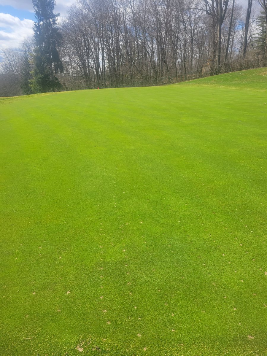Kawartha Golf Club Turf Department tweet media