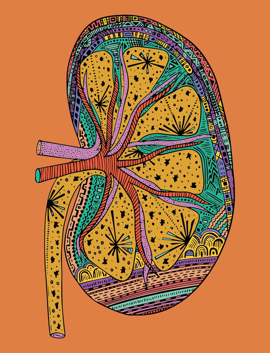 anatomicalsales's tweet photo. 💓 
 
Kidney #35 just sold for 0.05 ETH ($152.35)
-The Anatomical Project 
https://t.co/rrNpHjl9sb https://t.co/q7P69WjAuc