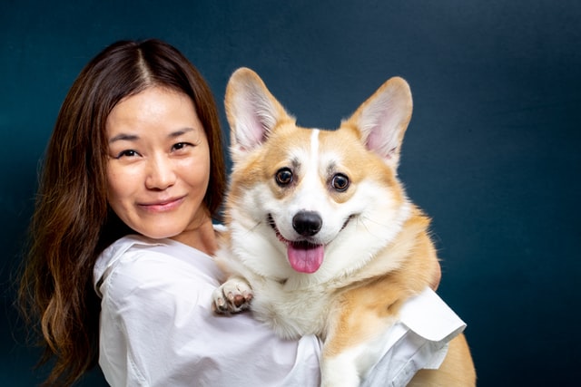 ImproveDogs's tweet photo. https://t.co/MuoxxhhcyZ

How Many Litters Can A Dog Have? – The Number Will Shock You

#improvedogs #doglitter #dogbehavior https://t.co/7wKDgOugPI