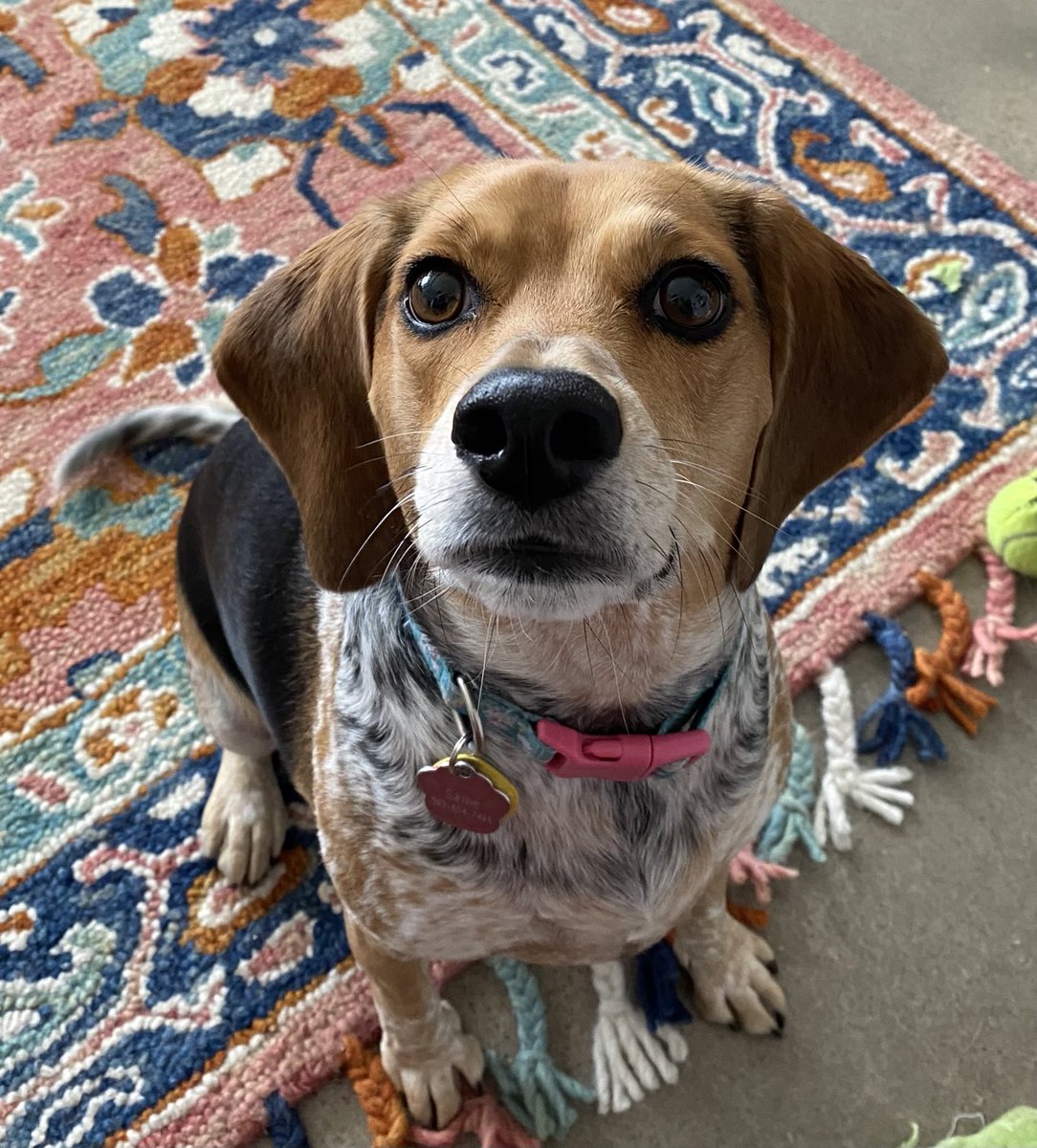 Good morning frens, how is everyone this beautiful Saturday morning?