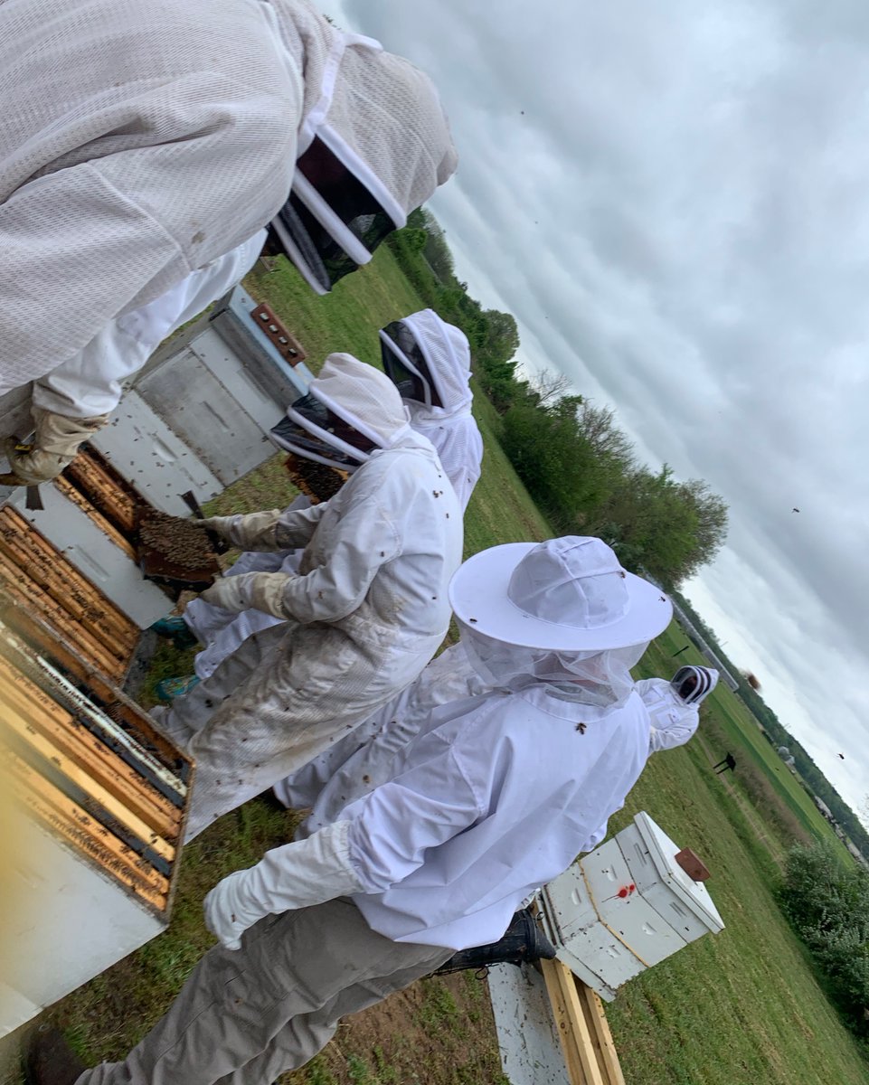 MABABeekeepers's tweet photo. This morning's MABA Apiary Field Day was a great success. New or old, there's always something to learn. #Beekeepers #hiveinspection #MABA Learn more at https://t.co/kJYWzBXE30 πΈ Karen Smith https://t.co/ybgUlJzfEK