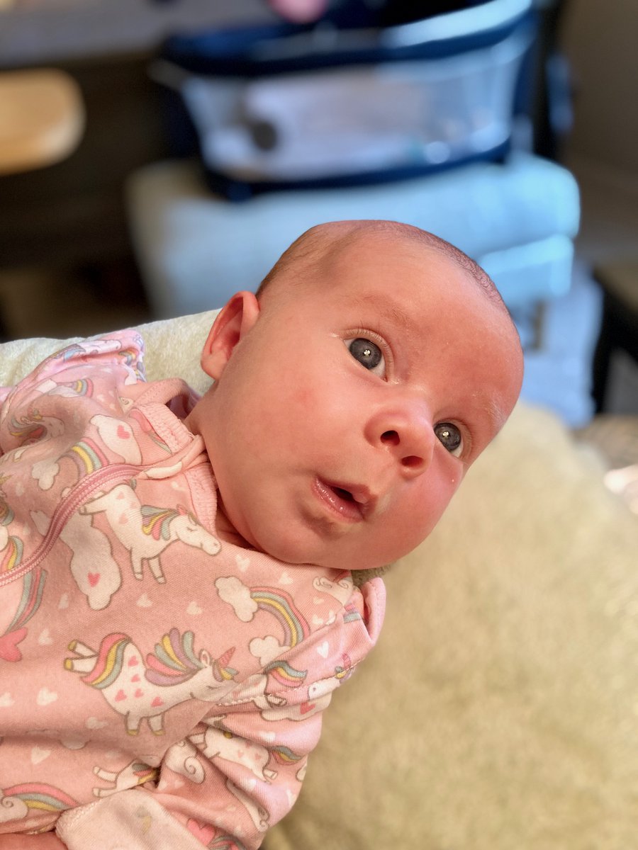 Diana S. Fleischman tweet media