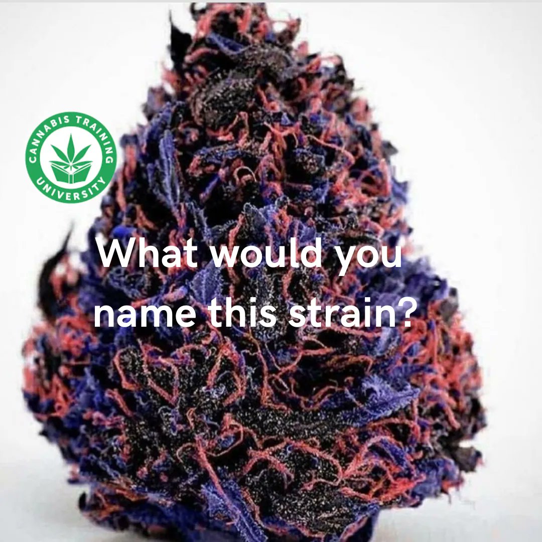 CannabisTrainU tweet picture