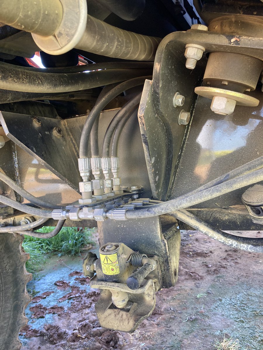 Rhys Curr tweet media